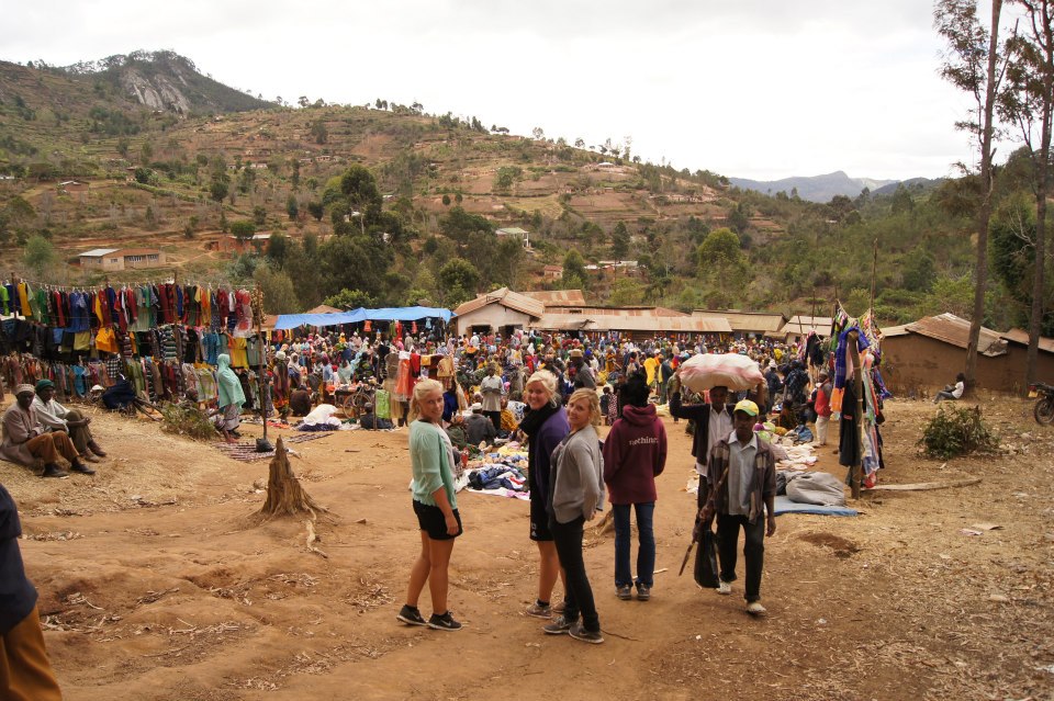 Usambara and Udzungwa Tour