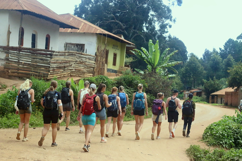 Serengeti, Usambara & Pangani Beach